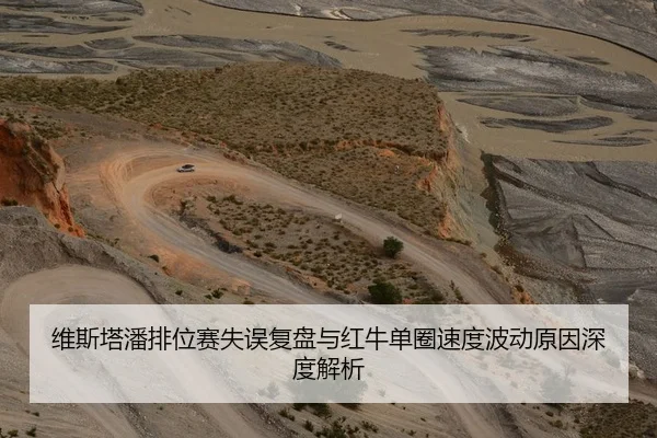 维斯塔潘排位赛失误复盘与红牛单圈速度波动原因深度解析